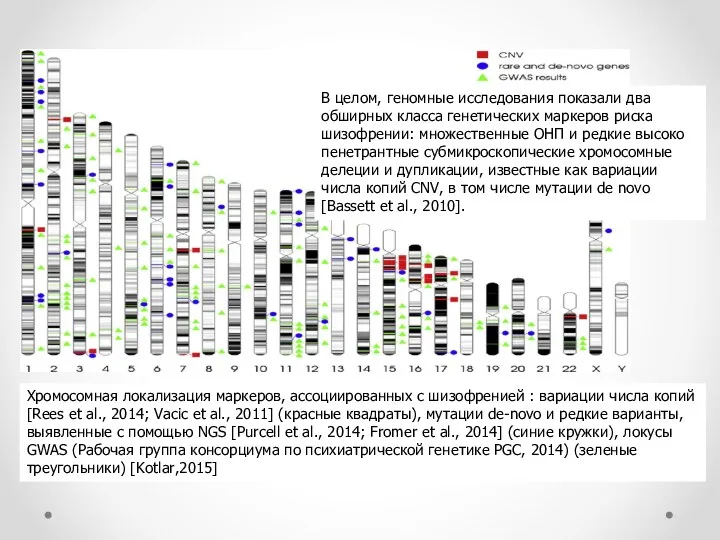 Хромосомная локализация маркеров, ассоциированных с шизофренией : вариации числа копий