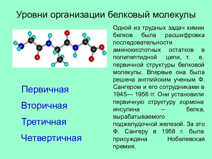 Уровни организации белковый молекулы Первичная Вторичная Третичная Четвертичная Одной из