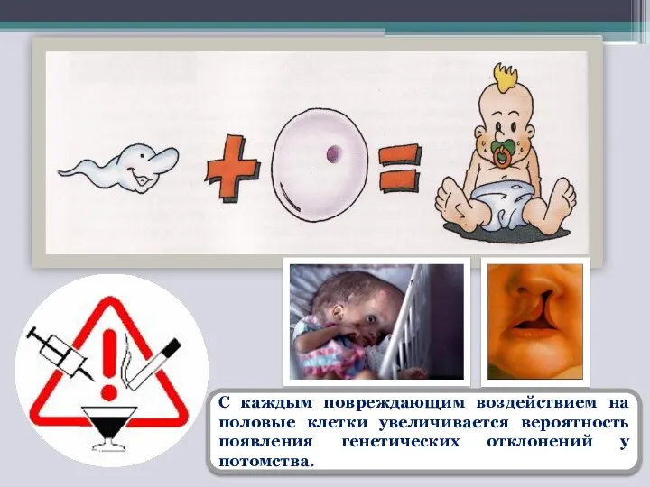 С каждым повреждающим воздействием на половые клетки увеличивается вероятность появления генетических отклонений у потомства.