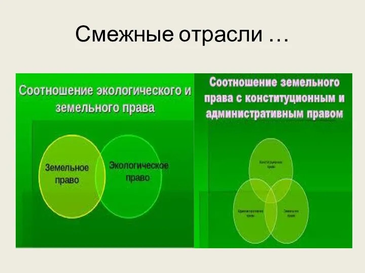 Смежные отрасли …