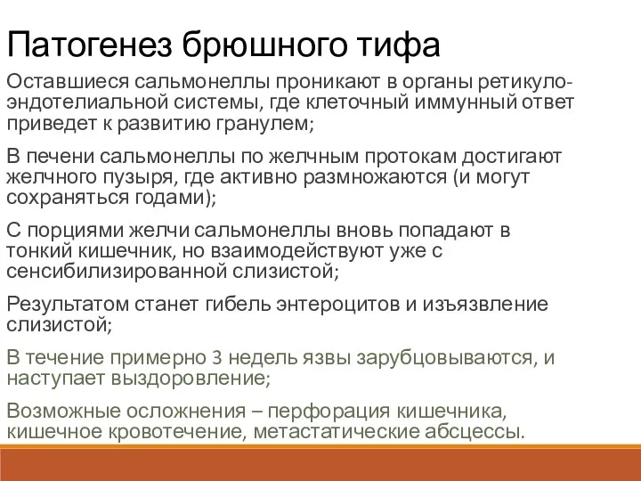 Патогенез брюшного тифа Оставшиеся сальмонеллы проникают в органы ретикуло-эндотелиальной системы, где клеточный иммунный