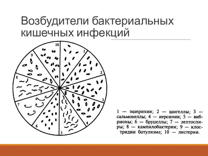 Возбудители бактериальных кишечных инфекций