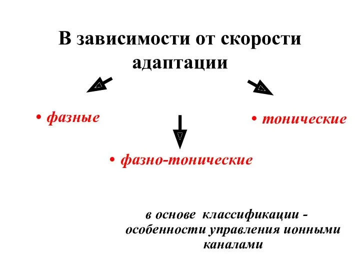 В зависимости от скорости адаптации фазные тонические фазно-тонические в основе классификации - особенности управления ионными каналами