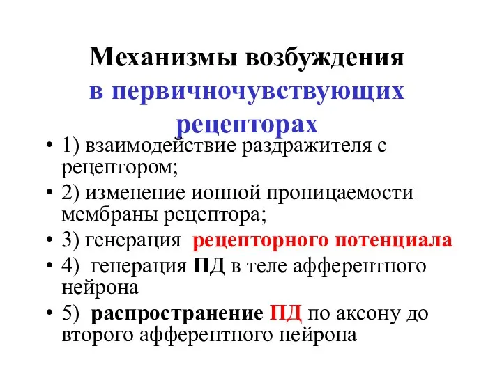 Механизмы возбуждения в первичночувствующих рецепторах 1) взаимодействие раздражителя с рецептором;