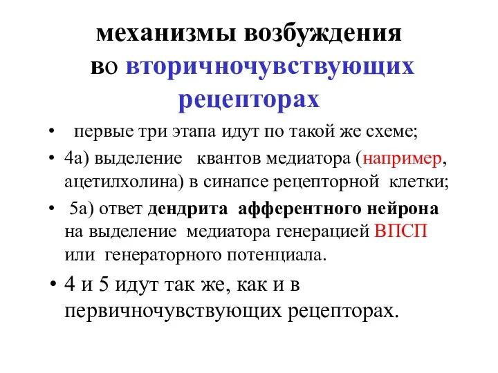 механизмы возбуждения во вторичночувствующих рецепторах первые три этапа идут по