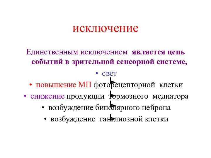 исключение Единственным исключением является цепь событий в зрительной сенсорной системе,