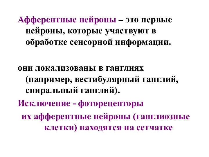 Афферентные нейроны – это первые нейроны, которые участвуют в обработке