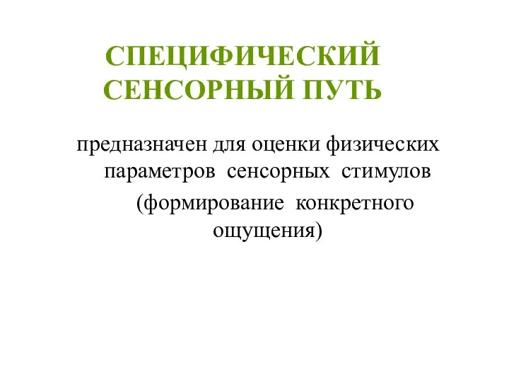 СПЕЦИФИЧЕСКИЙ СЕНСОРНЫЙ ПУТЬ предназначен для оценки физических параметров сенсорных стимулов (формирование конкретного ощущения)