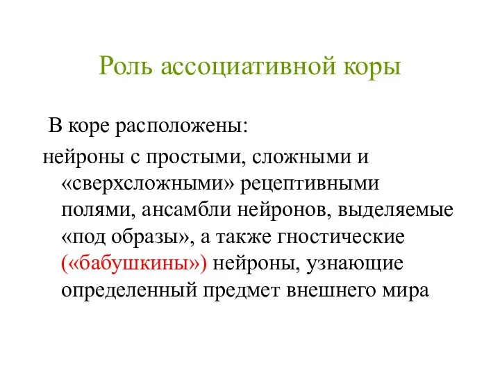 Роль ассоциативной коры В коре расположены: нейроны с простыми, сложными