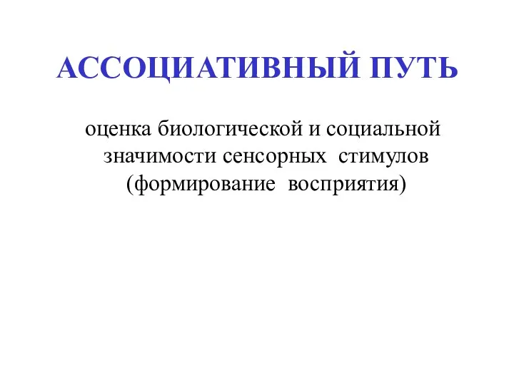 АССОЦИАТИВНЫЙ ПУТЬ оценка биологической и социальной значимости сенсорных стимулов (формирование восприятия)