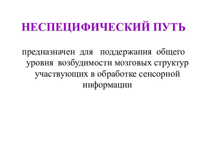 НЕСПЕЦИФИЧЕСКИЙ ПУТЬ предназначен для поддержания общего уровня возбудимости мозговых структур участвующих в обработке сенсорной информации