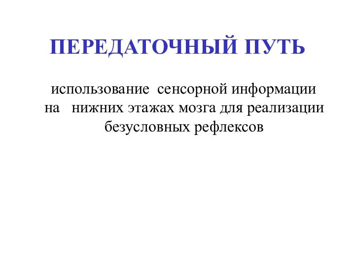 ПЕРЕДАТОЧНЫЙ ПУТЬ использование сенсорной информации на нижних этажах мозга для реализации безусловных рефлексов