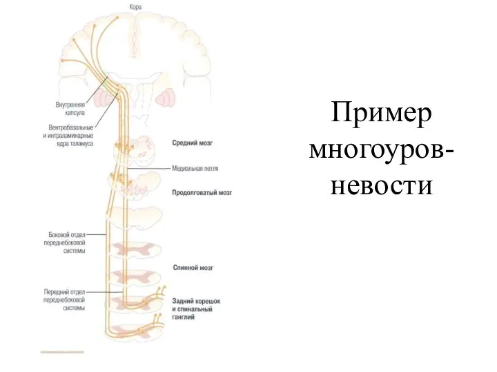 Пример многоуров-невости