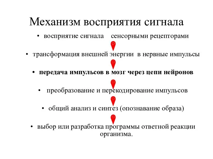 Механизм восприятия сигнала восприятие сигнала сенсорными рецепторами трансформация внешней энергии