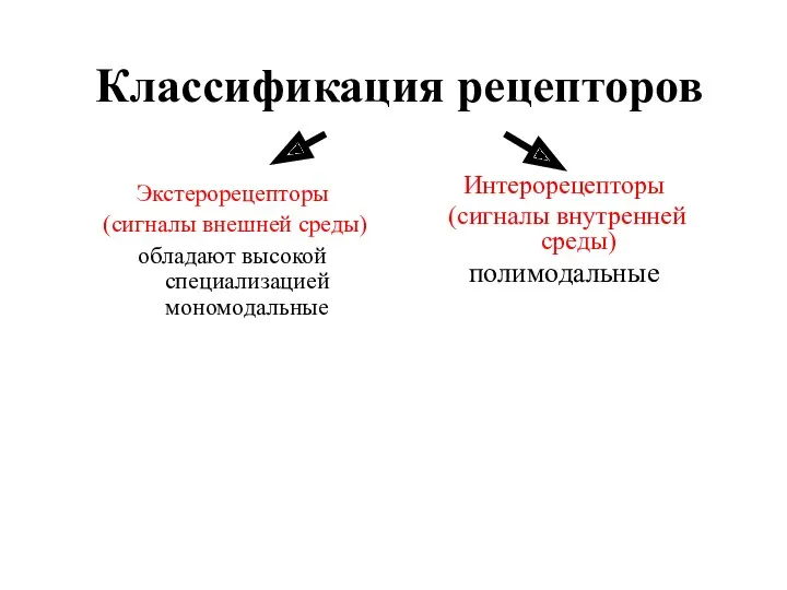 Классификация рецепторов Экстерорецепторы (сигналы внешней среды) обладают высокой специализацией мономодальные Интерорецепторы (сигналы внутренней среды) полимодальные