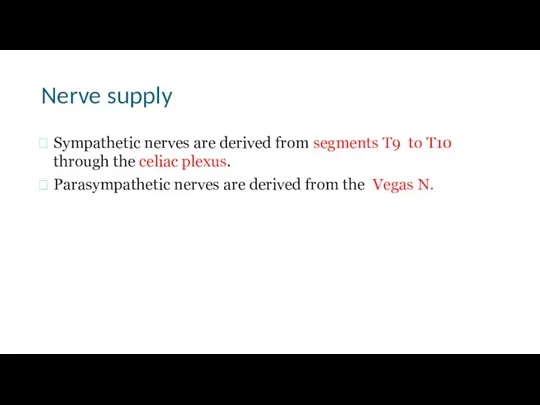 Nerve supply Sympathetic nerves are derived from segments T9 to