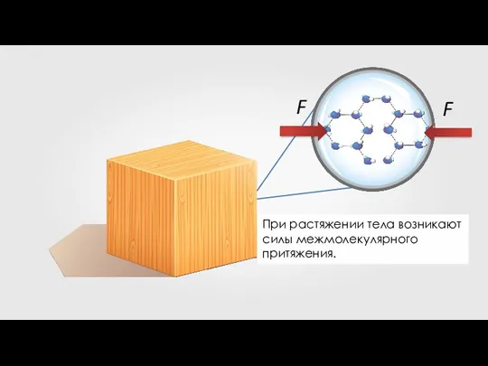 При растяжении тела возникают силы межмолекулярного притяжения.