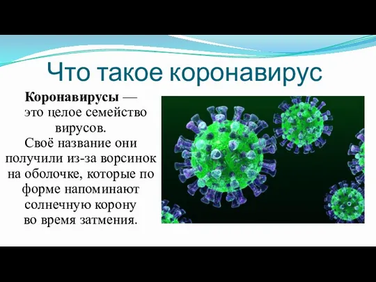 Что такое коронавирус Коронавирусы — это целое семейство вирусов. Своё