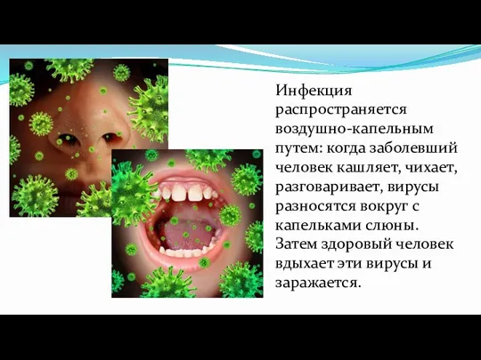 Инфекция распространяется воздушно-капельным путем: когда заболевший человек кашляет, чихает, разговаривает,