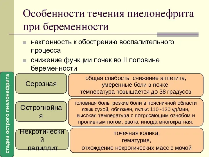 Особенности течения пиелонефрита при беременности наклонность к обострению воспалительного процесса снижение функции почек