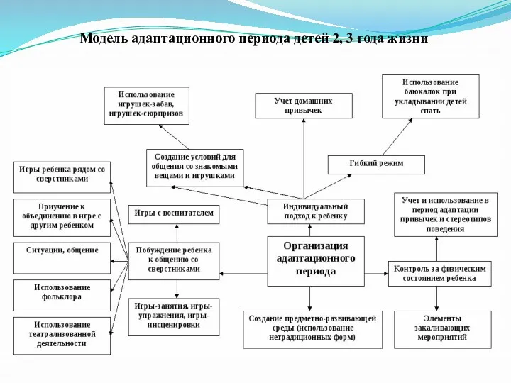 Модель адаптационного периода детей 2, 3 года жизни