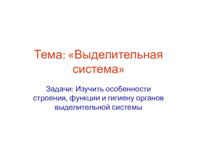 Выделительная система