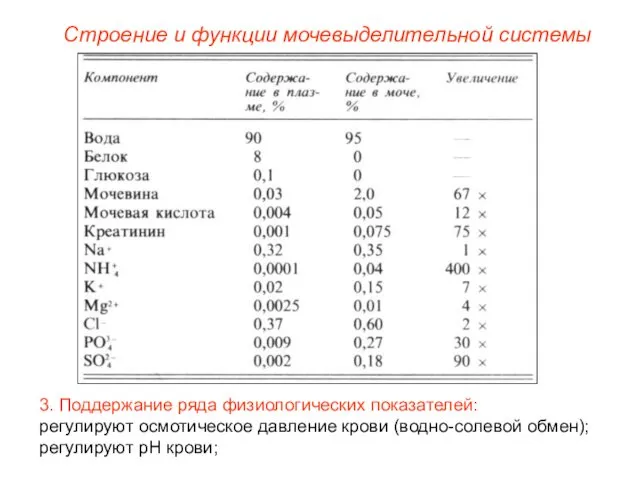 Строение и функции мочевыделительной системы 3. Поддержание ряда физиологических показателей: