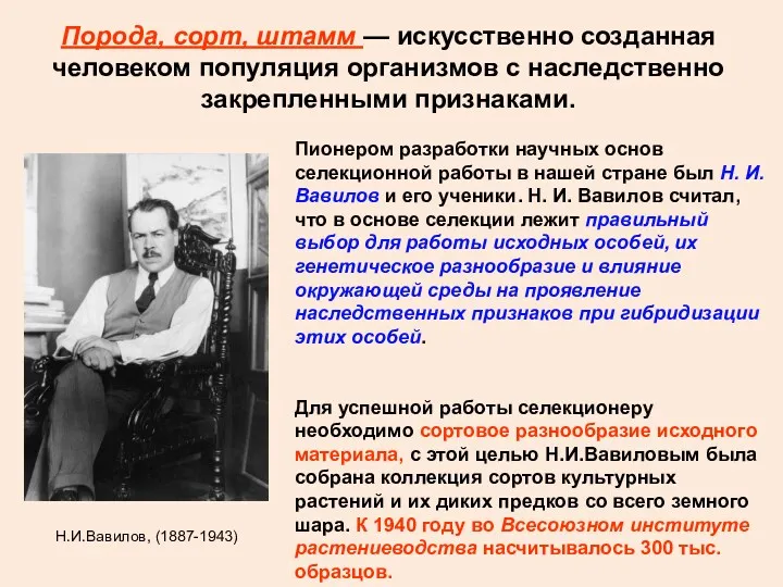 Порода, сорт, штамм — искусственно созданная человеком популяция организмов с