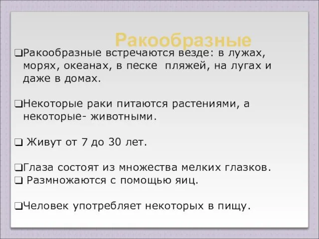 Ракообразные встречаются везде: в лужах, морях, океанах, в песке пляжей,