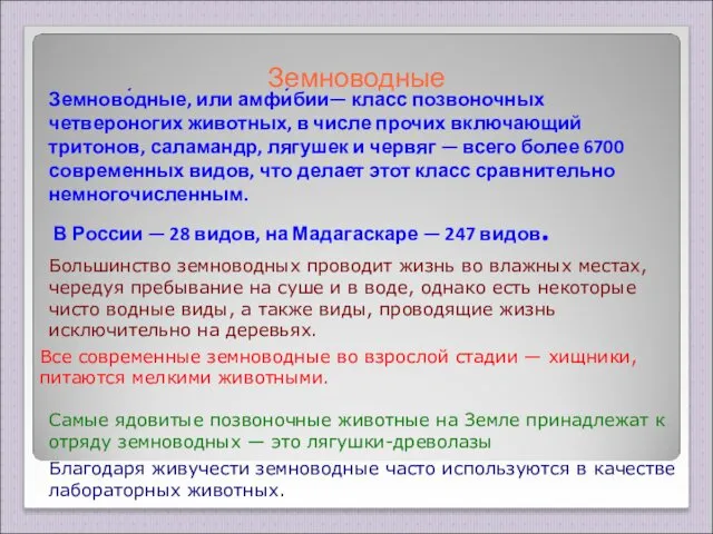 Земново́дные, или амфи́бии— класс позвоночных четвероногих животных, в числе прочих