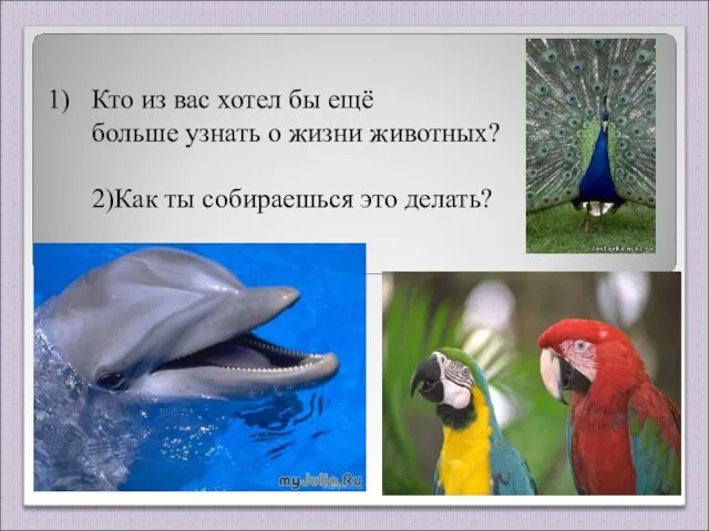 Кто из вас хотел бы ещё больше узнать о жизни животных? 2)Как ты собираешься это делать?