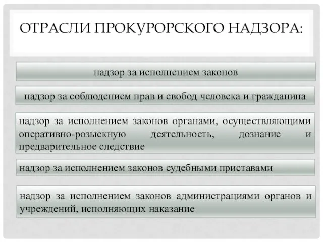 ОТРАСЛИ ПРОКУРОРСКОГО НАДЗОРА: надзор за соблюдением прав и свобод человека