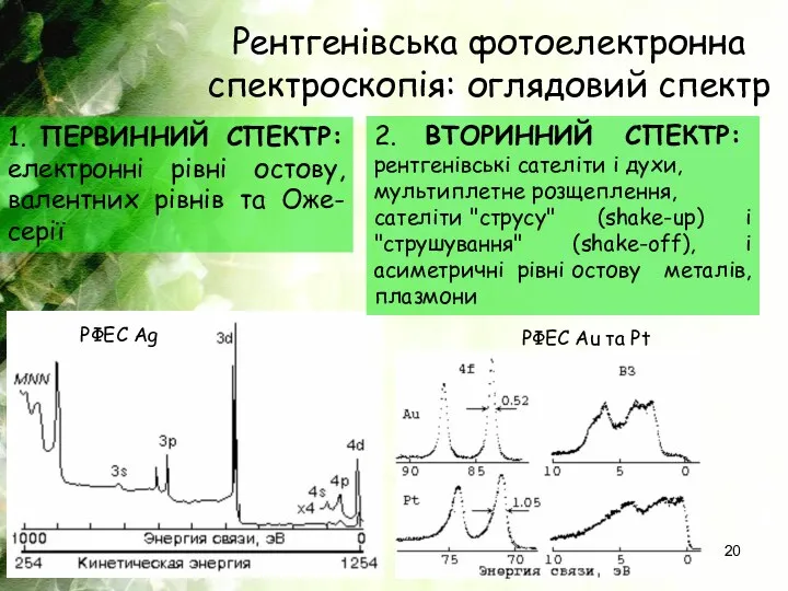 Рентгенівська фотоелектронна спектроскопія: оглядовий спектр 1. ПЕРВИННИЙ СПЕКТР: електронні рівні