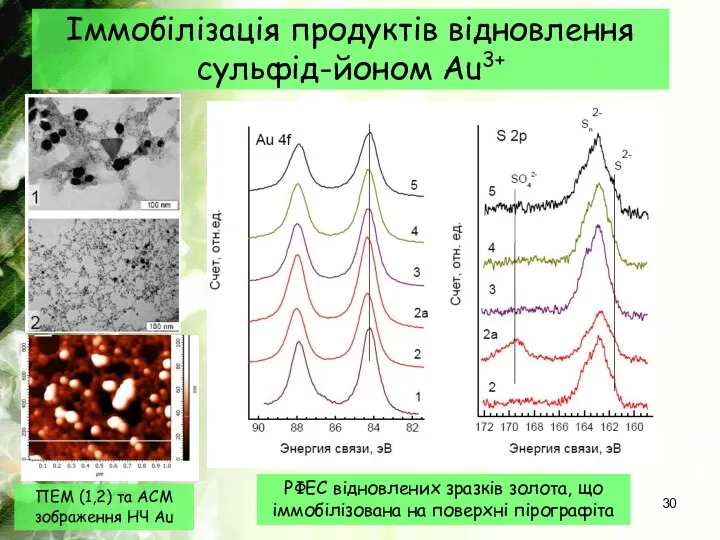 Іммобілізація продуктів відновлення сульфід-йоном Au3+ ПЕМ (1,2) та АСМ зображення