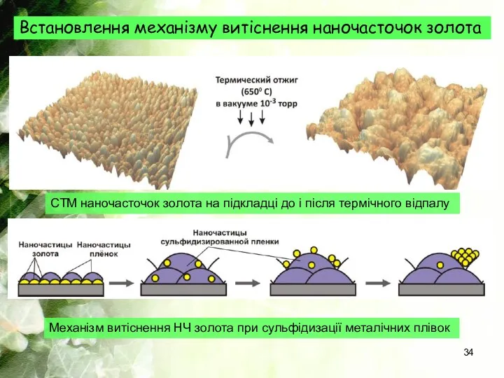 Встановлення механізму витіснення наночасточок золота СТМ наночасточок золота на підкладці