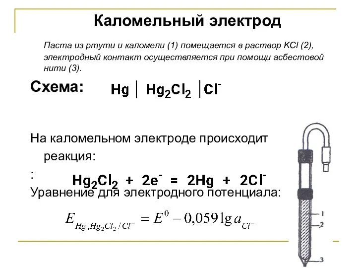 Каломельный электрод Паста из ртути и каломели (1) помещается в раствор KCl (2),