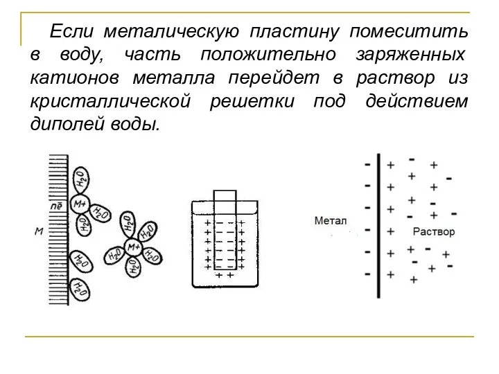 Если металическую пластину помеситить в воду, часть положительно заряженных катионов