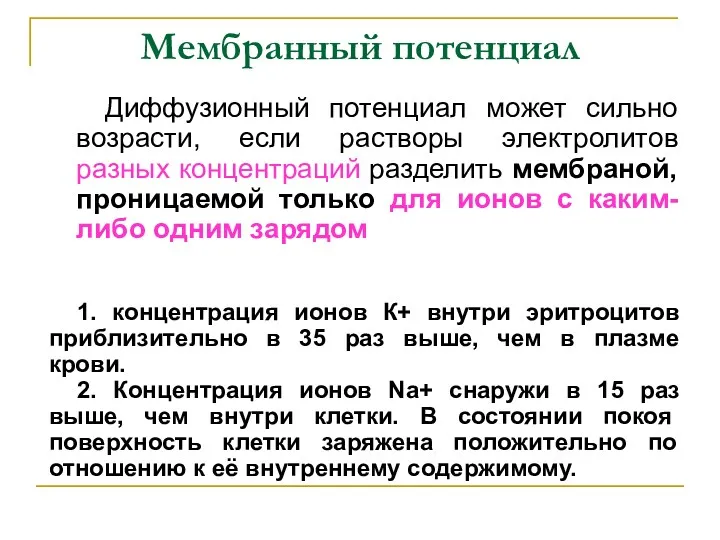 Мембранный потенциал Диффузионный потенциал может сильно возрасти, если растворы электролитов