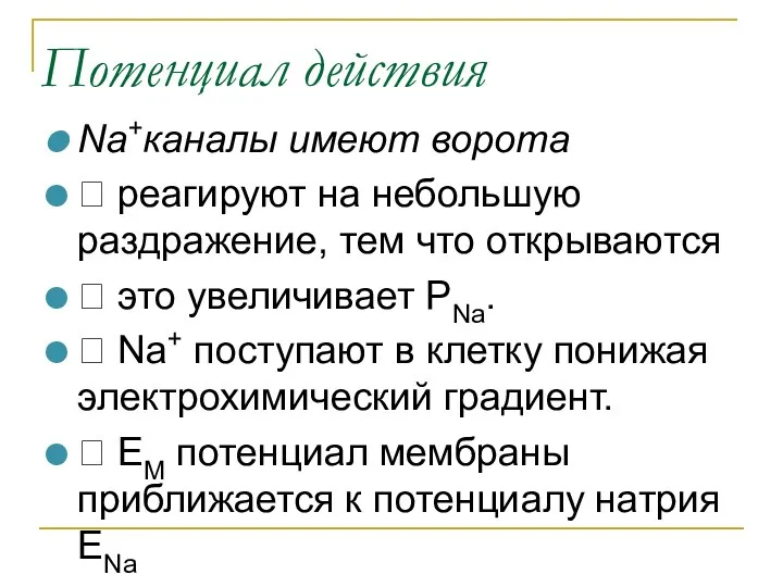 Потенциал действия Na+каналы имеют ворота ? реагируют на небольшую раздражение,