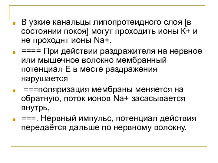 В узкие канальцы липопротеидного слоя [в состоянии покоя] могут проходить