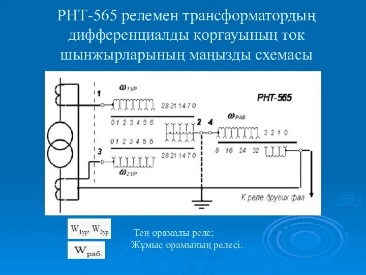 РНТ-565 релемен трансформатордың дифференциалды қорғауының ток шынжырларының маңызды схемасы Тең орамалы реле; Жұмыс орамының релесі.