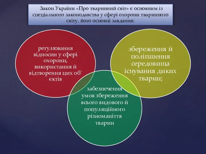 Закон України «Про тваринний світ» є основним із спеціального законодавства