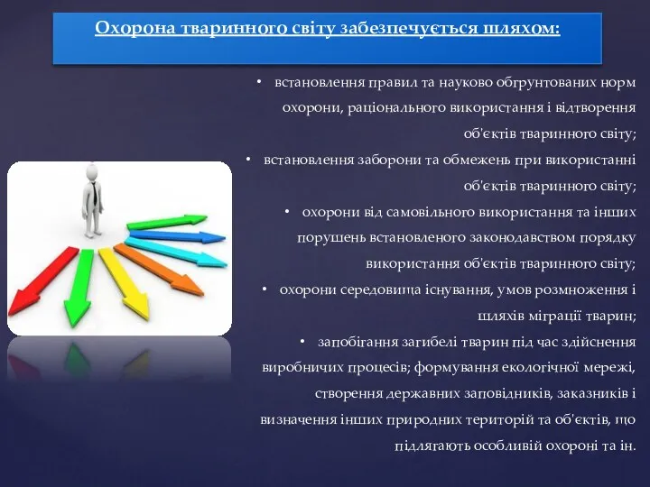 Охорона тваринного світу забезпечується шляхом: встановлення правил та науково обгрунтованих