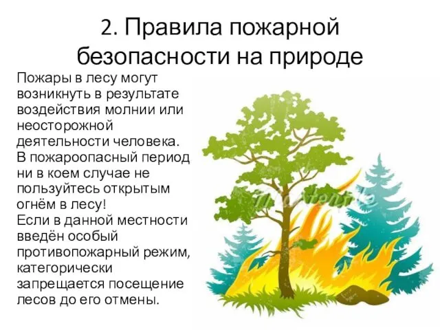 2. Правила пожарной безопасности на природе Пожары в лесу могут