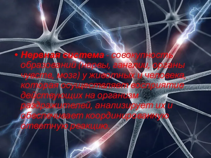Нервная система - совокупность образований (нервы, ганглии, органы чувств, мозг)