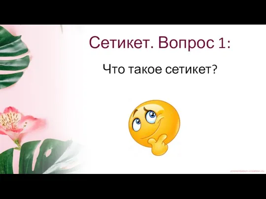 Сетикет. Вопрос 1: Что такое сетикет?