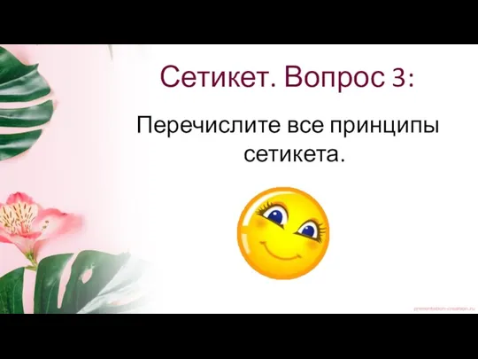 Сетикет. Вопрос 3: Перечислите все принципы сетикета.