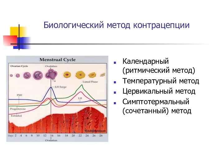 Биологический метод контрацепции Календарный (ритмический метод) Температурный метод Цервикальный метод Симптотермальный (сочетанный) метод