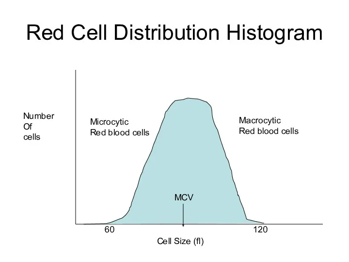 Cell Size (fl) Number Of cells 60 120 MCV Red Cell Distribution Histogram