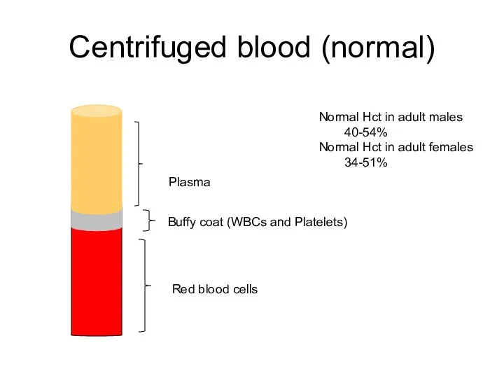 Centrifuged blood (normal) Red blood cells Buffy coat (WBCs and Platelets) Plasma Normal